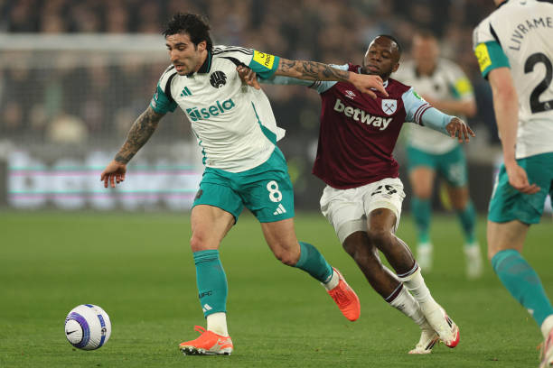 传统豪强和 传统豪强和