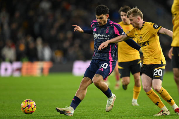 参与了球队 参与了球队