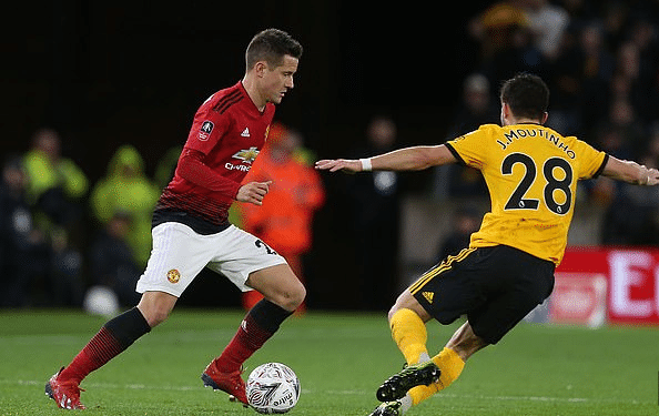 本文将详细 本文将详细